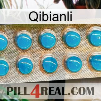 Qibianli new09